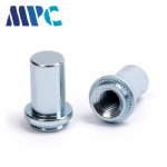 Carbon Steel Nut Fastener Waterproof Nut Screw